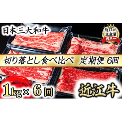 【毎月定期便】A4A5等級 近江牛切り落としスライス 食べ比べ ブリスケ&バラ 250g×4p全6回