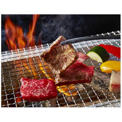 【2ヵ月毎定期便】特撰近江牛定期便　焼肉3種食べ比べセット全6回