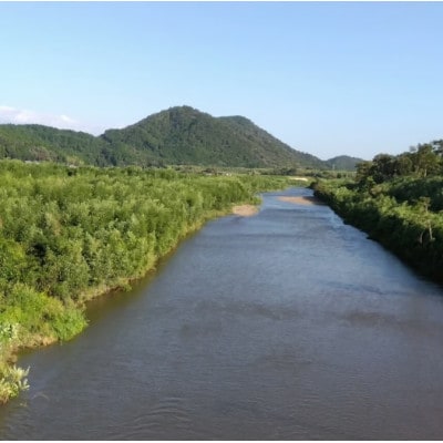 【令和7年産 新米】滋賀県近江米「みずかがみ」【環境こだわり米】白米5kg(5kg×1袋)