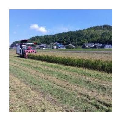 【令和7年産 新米】滋賀県近江米「みずかがみ」【環境こだわり米】白米5kg(5kg×1袋)