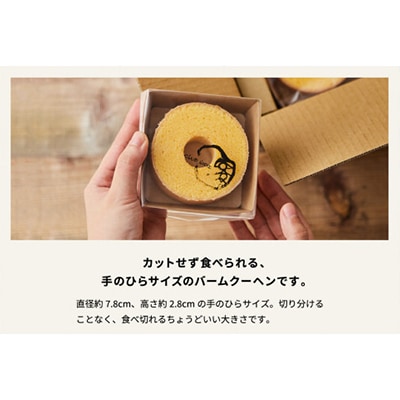 【クラブハリエ】バームクーヘンmini6個入 シェアボックス 個包装