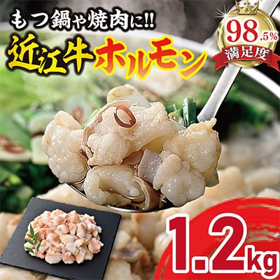 【カメチク】近江牛ホルモン焼肉または鍋用1200g【FK04U】