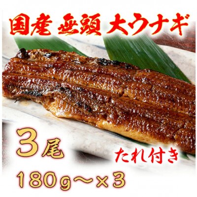 国産うなぎ　備長炭地焼き蒲焼き180g以上×3尾(タレ付き)