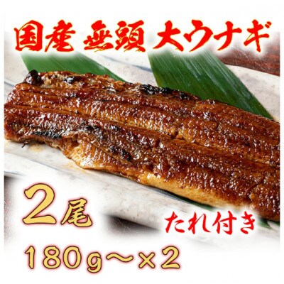 国産うなぎ　備長炭地焼き蒲焼き180g以上×2尾(タレ付き)