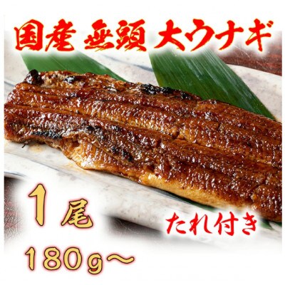 国産うなぎ　備長炭地焼き蒲焼き180g以上×1尾(タレ付き)