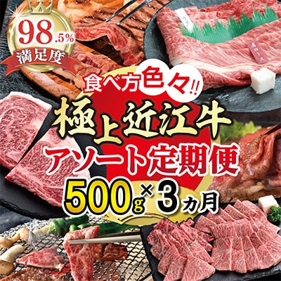 【毎月定期便】ZZ49U【期間限定】極上近江牛500g 食べ方色々!アソート定期便全3回