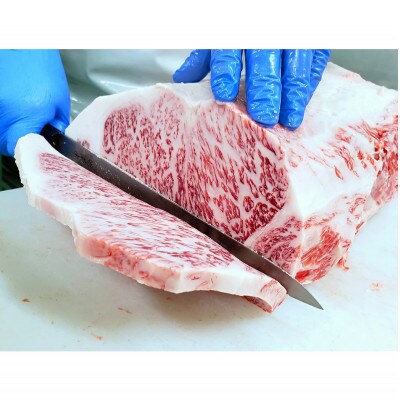 お肉博士と工場見学 近江牛スゴーイ!～お持ち帰りできる近江牛500g付～