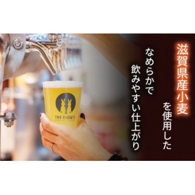 TWO RABBITS BREWING クラフトビール【金柑ウィット×6本セット】
