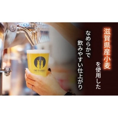 TWO RABBITS BREWING クラフトビール【金柑ウィット×24本セット】