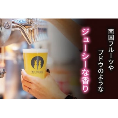 TWO RABBITS BREWING クラフトビール【キウイ IPA×6本セット】