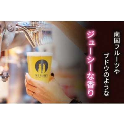 TWO RABBITS BREWING クラフトビール<キウイ IPA×24本セット>