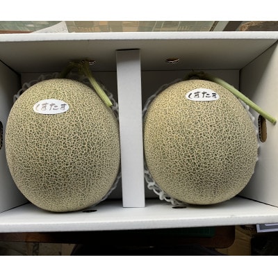 タカミメロン(極み) 大玉2個入り
