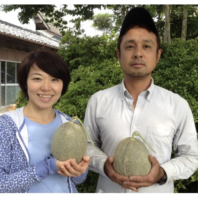 タカミメロン(極み) 大玉2個入り