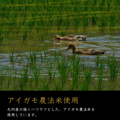 球磨焼酎　球磨の泉　720ml昔ながらの焼酎25度&原酒セット
