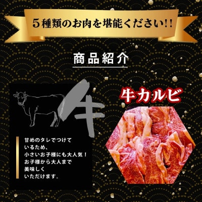 村上精肉店の味付き焼肉 5品セット 1kg