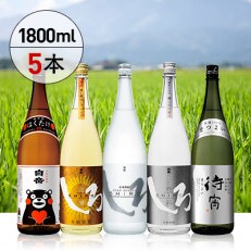 白岳・厳選一升瓶5本セット