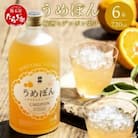白岳うめぽん(梅酒)　6本セット