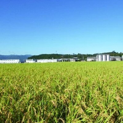 本格米焼酎「白岳しろ」25度 720ml 12本セット