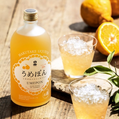 白岳リキュール2本セット