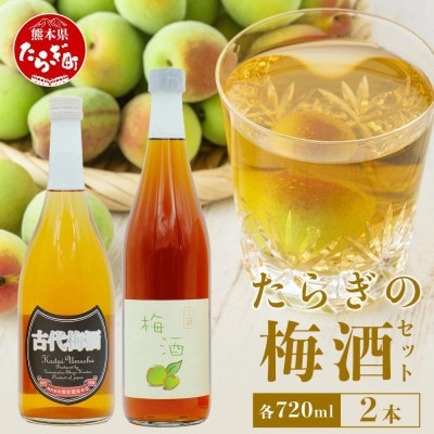 たらぎ梅酒セット 古代梅酒720ml 梅酒文蔵720ml