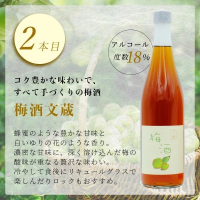 たらぎ梅酒セット 古代梅酒720ml 梅酒文蔵720ml
