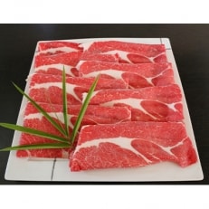 【多良木町】馬肉の切り落とし　1000g