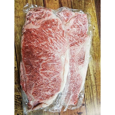 肥後の赤牛　ロースステーキ500g(熊本県産和牛)(多良木町)G-7