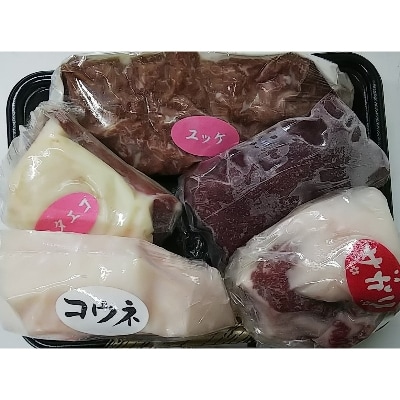 馬刺し5種 (赤身・フタエゴ・コウネ・サガリ・ユッケ)　計500g(多良木町)