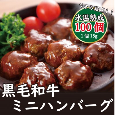 氷温(R)熟成　黒毛和牛ミニハンバーグ100個(多良木町)