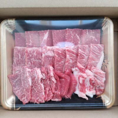 肥後の赤牛　ロース焼肉用　500g(多良木町)