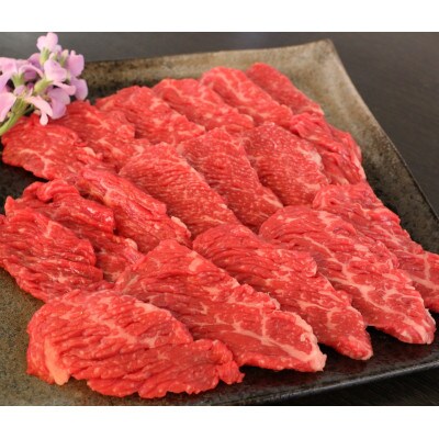 【毎月定期便】肥後の赤牛　ロース焼肉用　500g(多良木町)全3回