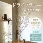 TSUKIGI みつまた 50cm～80cm 白枝 インテリア オブジェ