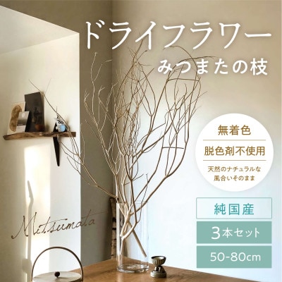 TSUKIGI みつまた 50cm～80cm 白枝 インテリア オブジェ