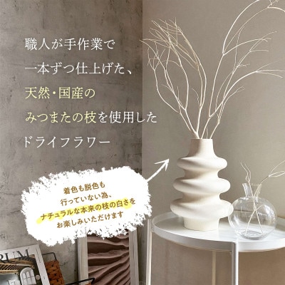 TSUKIGI みつまた 50cm～80cm 白枝 インテリア オブジェ