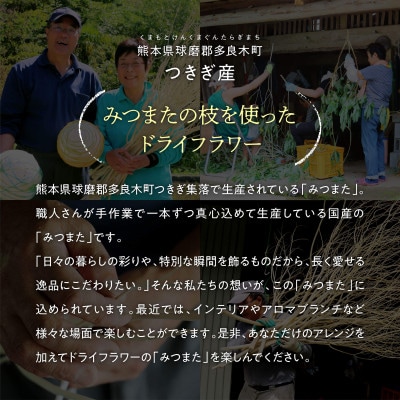 TSUKIGI みつまた 50cm～80cm 白枝 インテリア オブジェ