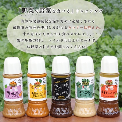 ドレッシング　5本セットA