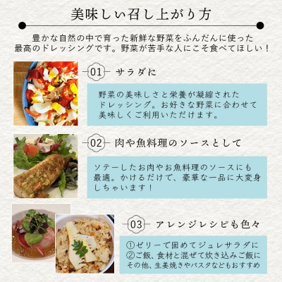 ドレッシング　5本セットB
