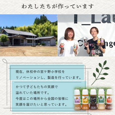 ドレッシング　5本セットB