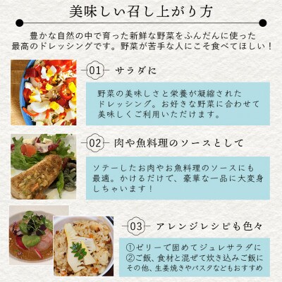 ドレッシング　5本セットF