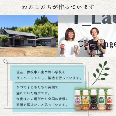 ドレッシング　5本セットH