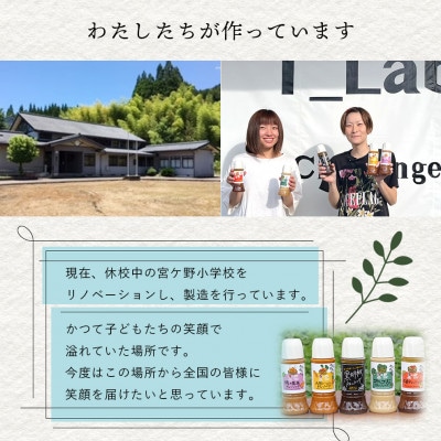 ドレッシング　5本セットI