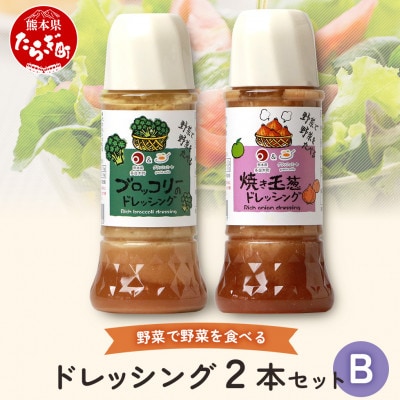 ドレッシング　2本セットB