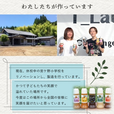 ドレッシング 2本セットE