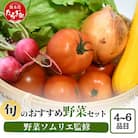 野菜ソムリエ監修 旬のおすすめ野菜セット 4～6種類(1～2名様向け)