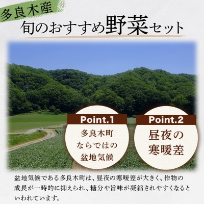 野菜ソムリエ監修 旬のおすすめ野菜セット 4～6種類(1～2名様向け)