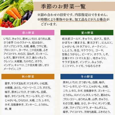 野菜ソムリエ監修 旬のおすすめ野菜&野菜で野菜を食べるドレッシングセット(1～2名様)