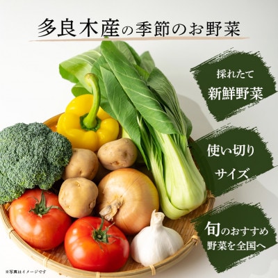 熊本の大地の恵み 旬のこだわり野菜詰め合わせセット 8～12品(3～4名様向け)