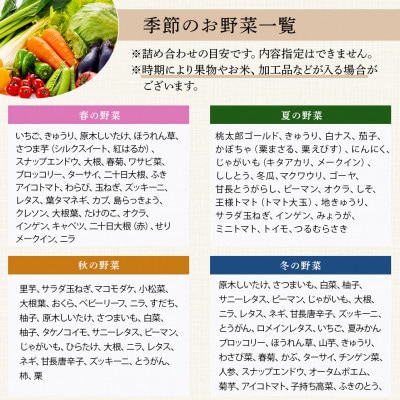熊本の大地の恵み 旬のこだわり野菜詰め合わせセット 8～12品(3～4名様向け)