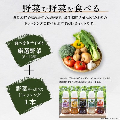 熊本の大地の恵み 旬のこだわり野菜&ドレッシングセット 8～12品(3～4名様向け)