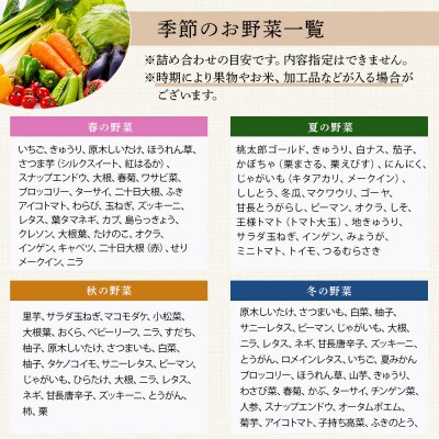 熊本の大地の恵み 旬のこだわり野菜&ドレッシングセット 8～12品(3～4名様向け)